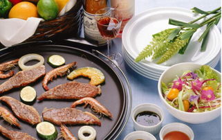 老太太燒烤加盟 投入42萬即可開店創(chuàng)富